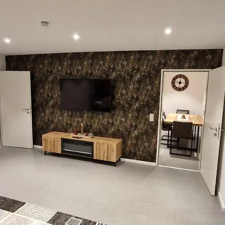 Renatas David * 萨巴赫瓦登