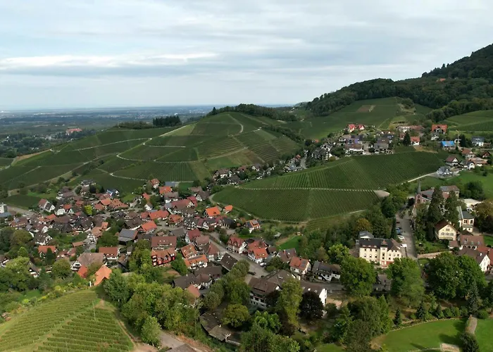 Renatas David Apartamento *