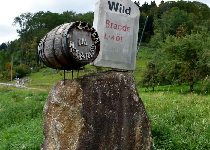 Apartamento Renatas David Sasbachwalden