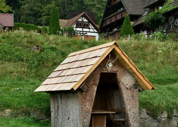 Renatas David * Sasbachwalden