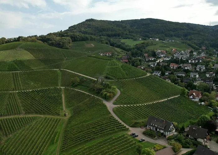 Renatas David Sasbachwalden