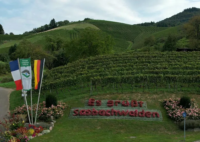 Apartamento Renatas David