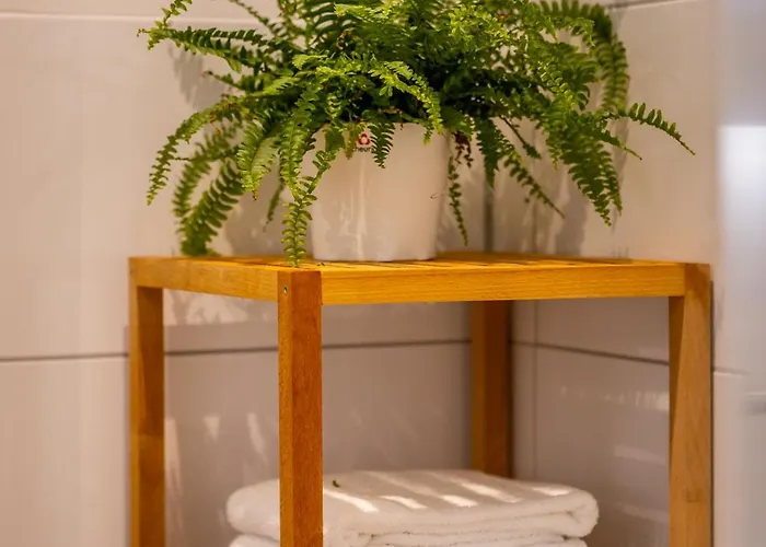 Renatas David Sasbachwalden