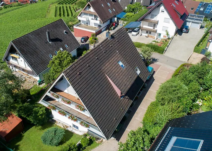 Renatas David Sasbachwalden